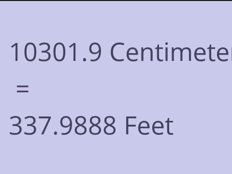 10301.9 CM TO FEET