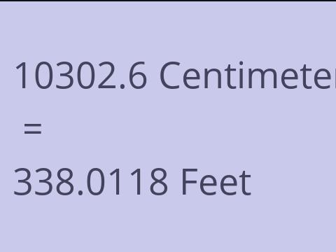 10302.6 CM TO FEET