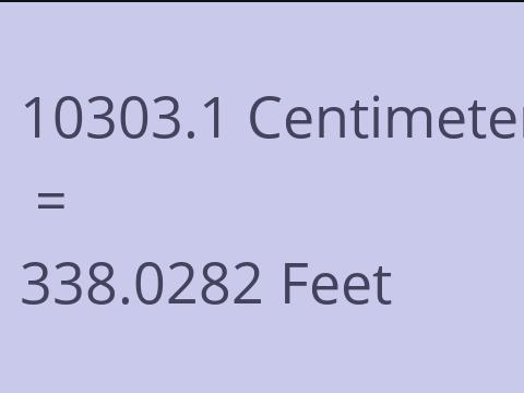 10303.1 CM TO FEET