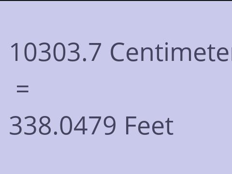 10303.7 CM TO FEET