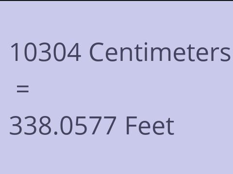 10304 CM TO FEET