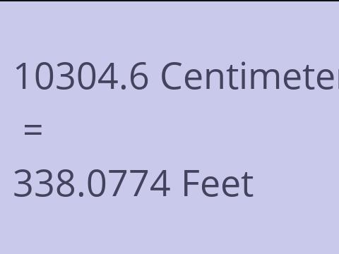 10304.6 CM TO FEET