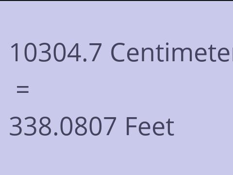 10304.7 CM TO FEET