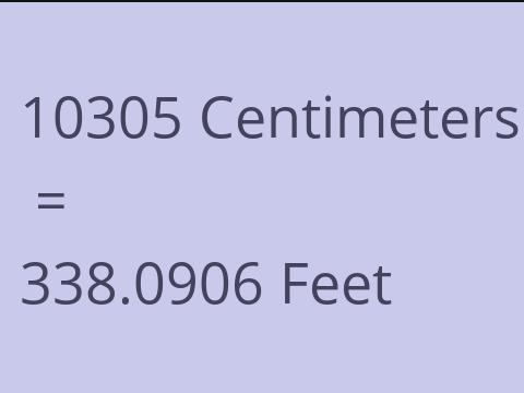 10305 CM TO FEET