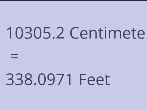 10305.2 CM TO FEET