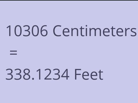 10306 CM TO FEET