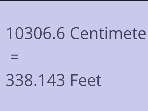 10306.6 CM TO FEET