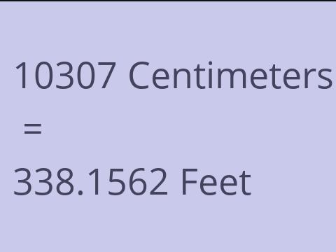 10307 CM TO FEET