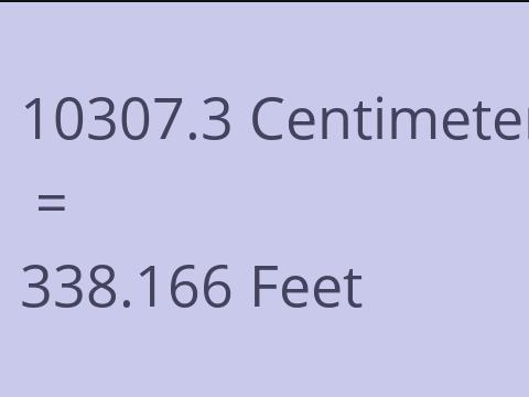 10307.3 CM TO FEET