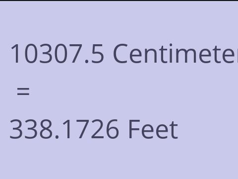 10307.5 CM TO FEET