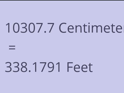 10307.7 CM TO FEET