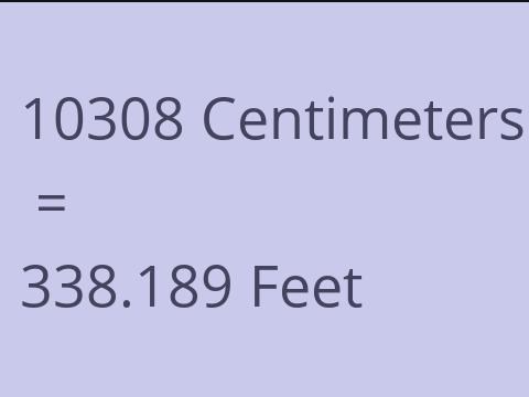 10308 CM TO FEET