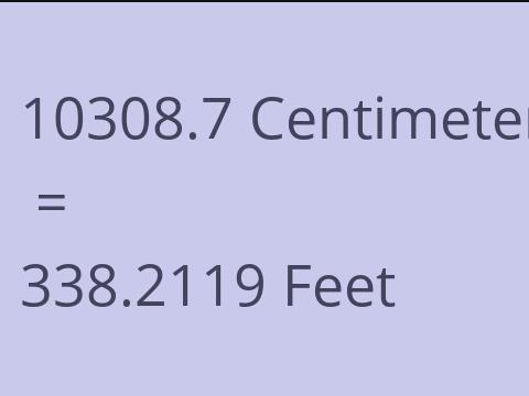 10308.7 CM TO FEET