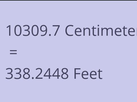 10309.7 CM TO FEET