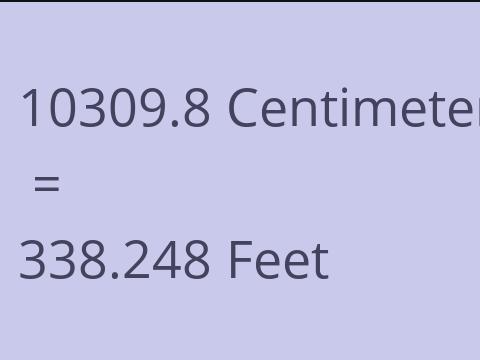 10309.8 CM TO FEET