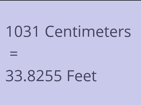 1031 CM TO FEET