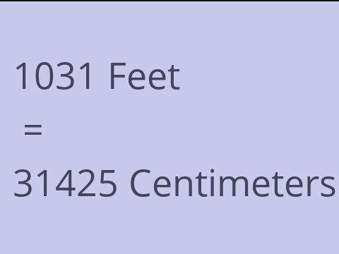 1031 FEET TO CM