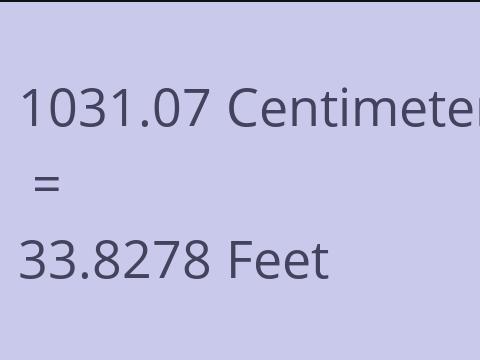 1031.07 CM TO FEET