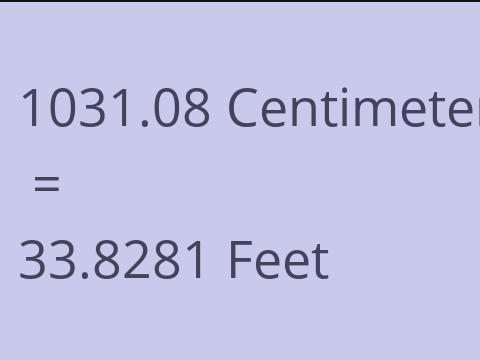 1031.08 CM TO FEET