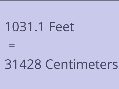 1031.1 FEET TO CM