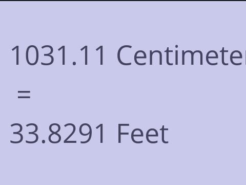 1031.11 CM TO FEET