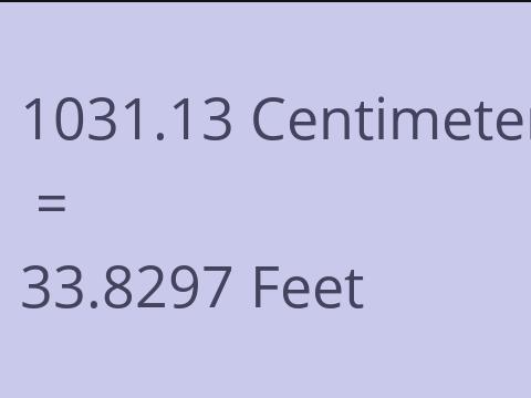 1031.13 CM TO FEET