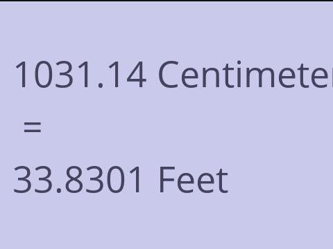 1031.14 CM TO FEET