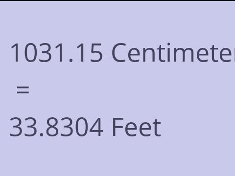 1031.15 CM TO FEET