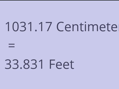 1031.17 CM TO FEET