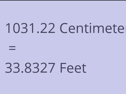 1031.22 CM TO FEET