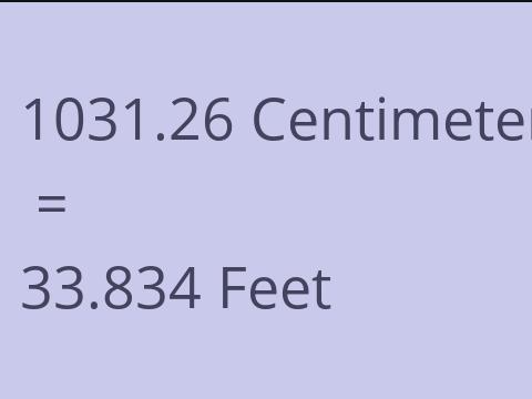 1031.26 CM TO FEET