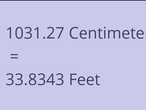 1031.27 CM TO FEET