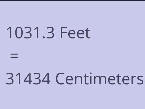 1031.3 FEET TO CM