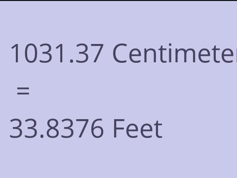 1031.37 CM TO FEET