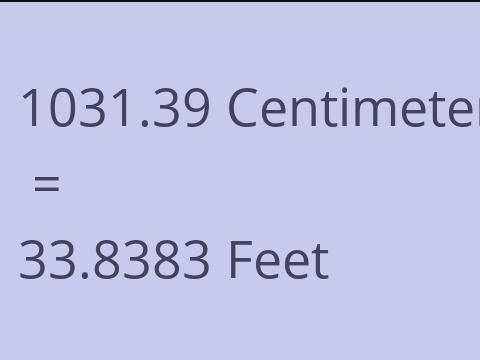 1031.39 CM TO FEET