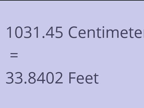 1031.45 CM TO FEET