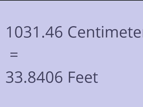 1031.46 CM TO FEET