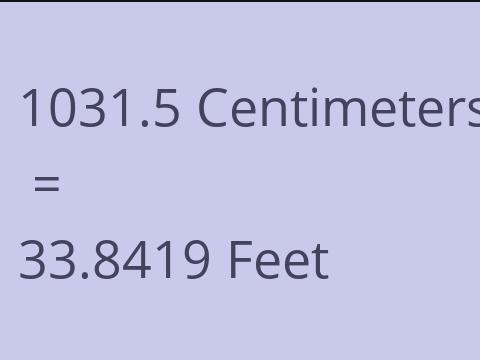 1031.5 CM TO FEET