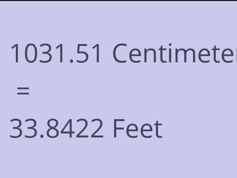 1031.51 CM TO FEET