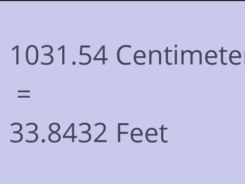 1031.54 CM TO FEET