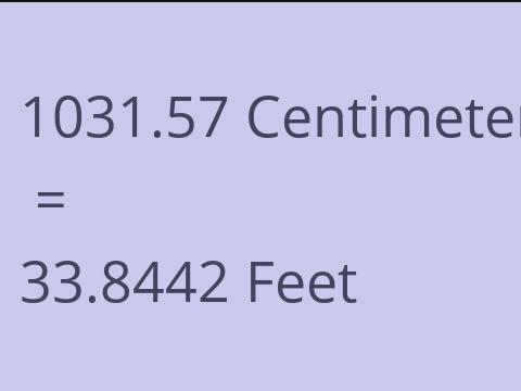 1031.57 CM TO FEET