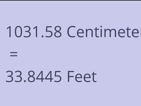 1031.58 CM TO FEET