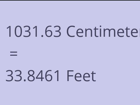 1031.63 CM TO FEET