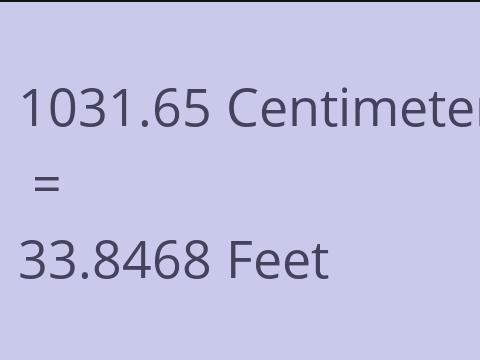 1031.65 CM TO FEET