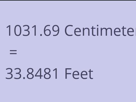 1031.69 CM TO FEET