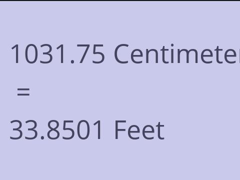 1031.75 CM TO FEET