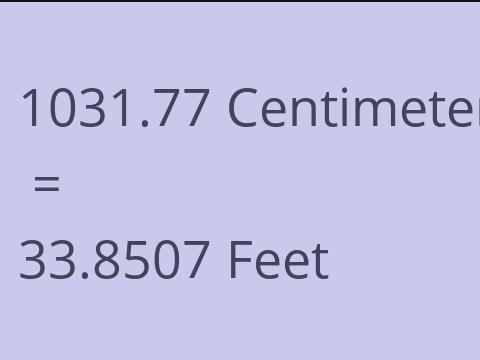 1031.77 CM TO FEET