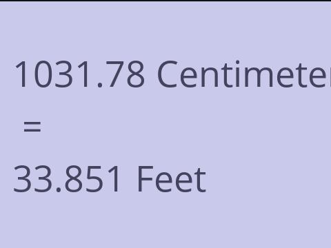 1031.78 CM TO FEET