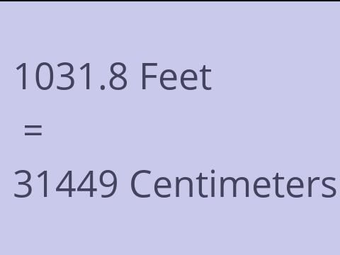 1031.8 FEET TO CM