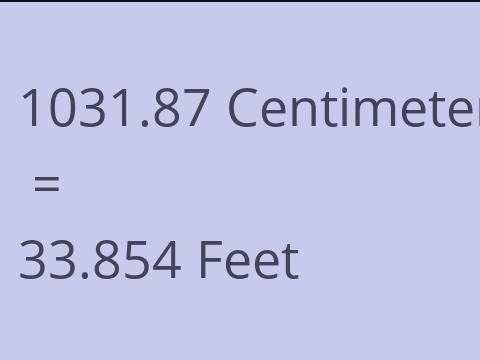 1031.87 CM TO FEET